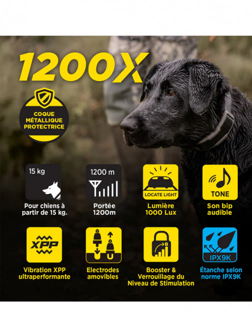 Pack de dressage 1200X 2 chiens Dogtra