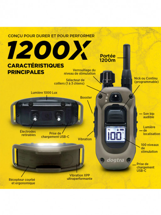 Pack de dressage 1200X 2 chiens Dogtra