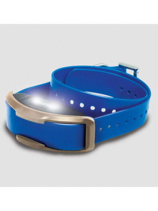 Collier supplémentaire 1200x Dogtra