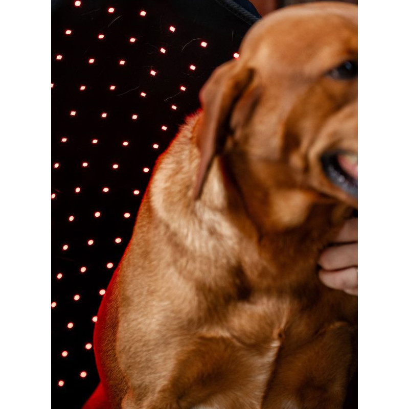 Manteau de thérapie par lumière rouge LED Horseware