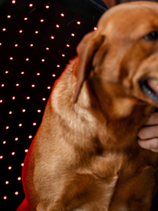 Manteau de thérapie par lumière rouge LED Horseware