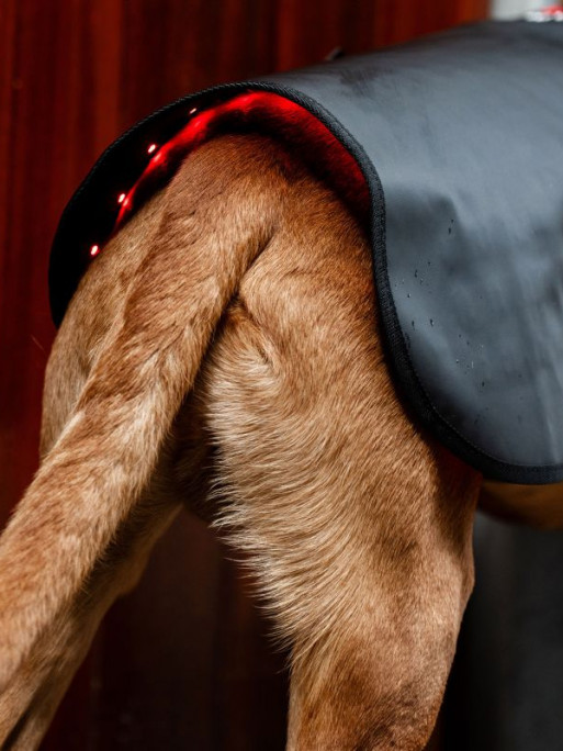 Manteau de thérapie par lumière rouge LED Horseware