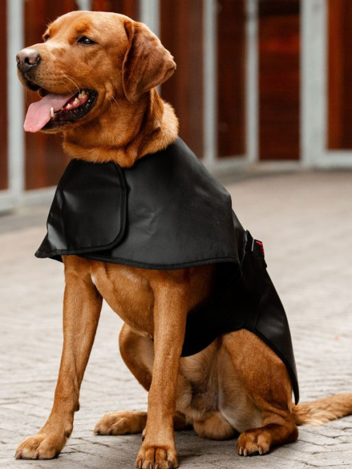 Manteau de thérapie par lumière rouge LED Horseware