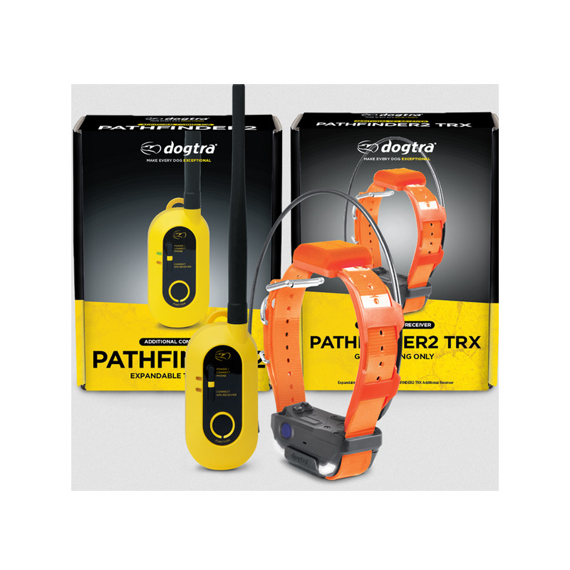 Pack de repérage Pathfinder 2 TRX Dogtra