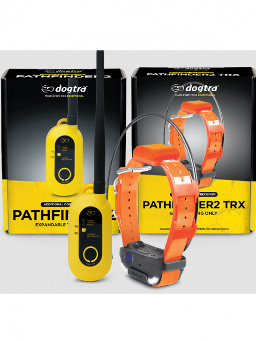 Pack de repérage Pathfinder 2 TRX Dogtra
