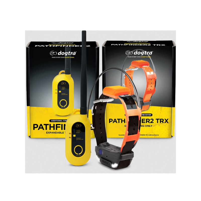 Pack de repérage Pathfinder 2 TRX Dogtra