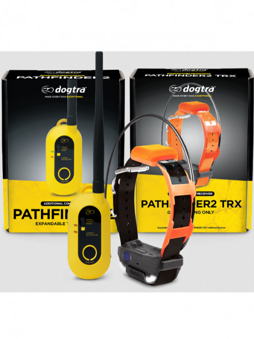 Pack de repérage Pathfinder 2 TRX Dogtra