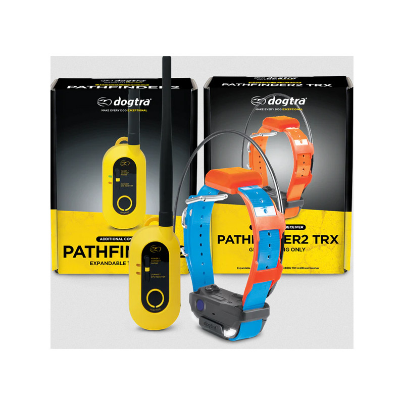 Pack de repérage Pathfinder 2 TRX Dogtra