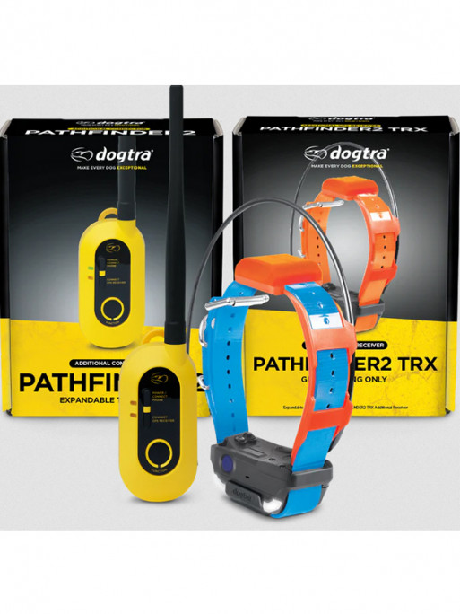 Pack de repérage Pathfinder 2 TRX Dogtra