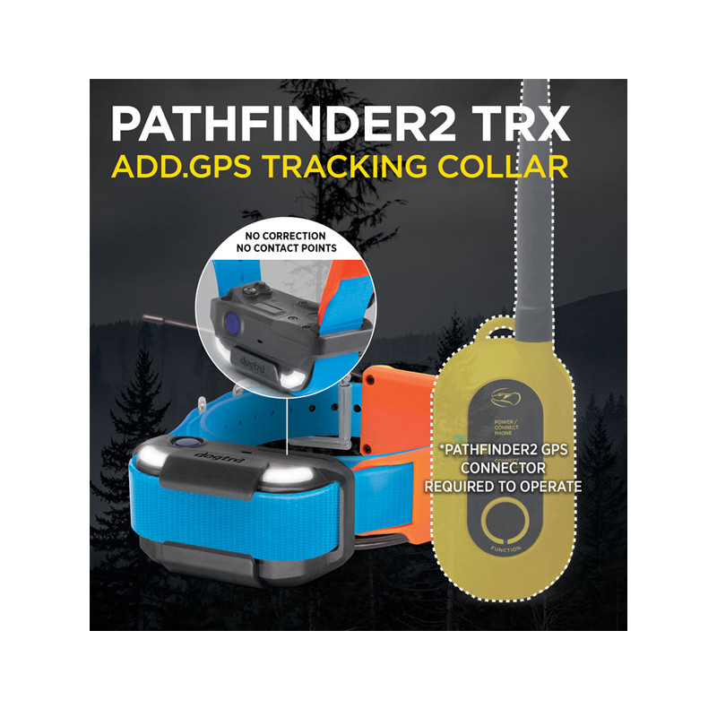 Pack de repérage Pathfinder 2 TRX Dogtra