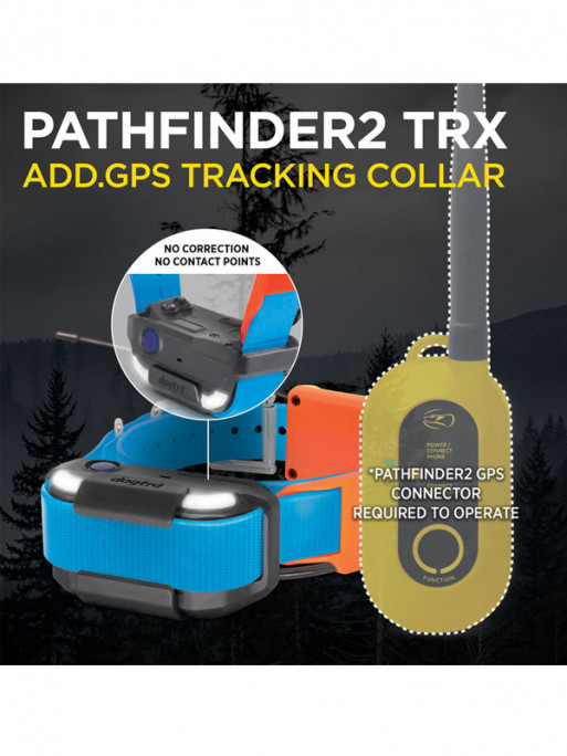 Pack de repérage Pathfinder 2 TRX Dogtra