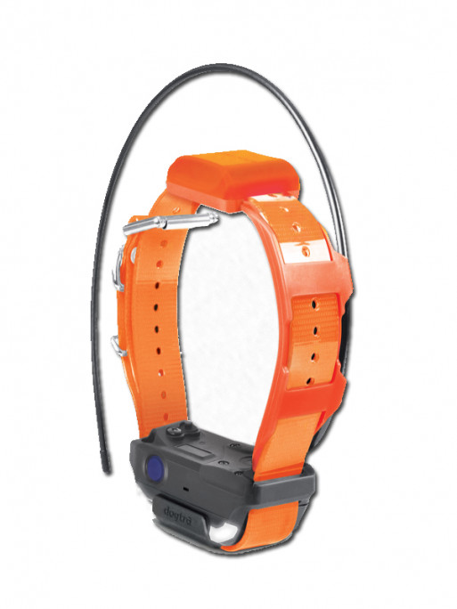 Collier supplémentaire Pathfinder 2 TRX Dogtra