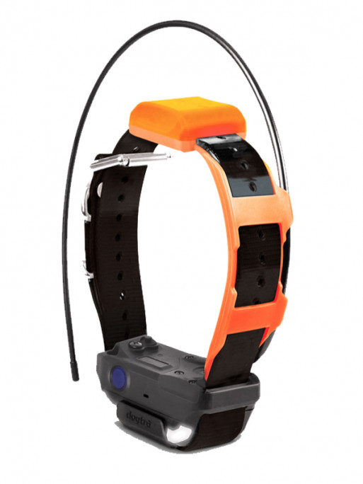 Collier supplémentaire Pathfinder 2 TRX Dogtra