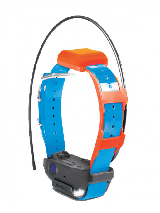 Collier supplémentaire Pathfinder 2 TRX Dogtra
