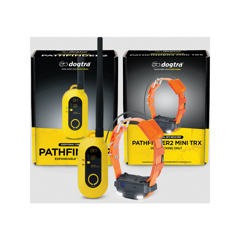 Pack de repérage Pathfinder 2 Mini TRX Dogtra