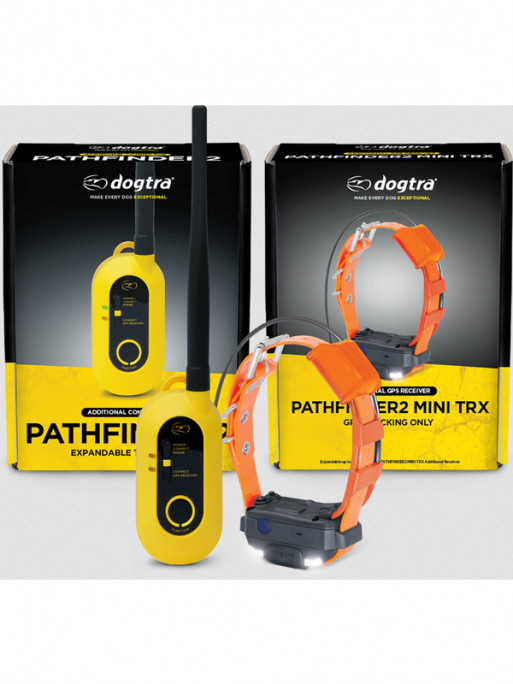 Pack de repérage Pathfinder 2 Mini TRX Dogtra