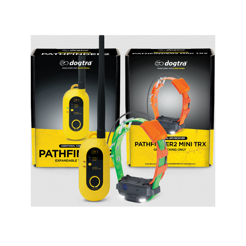 Pack de repérage Pathfinder 2 Mini TRX Dogtra