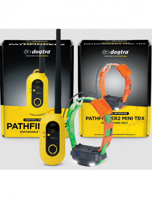 Pack de repérage Pathfinder 2 Mini TRX Dogtra