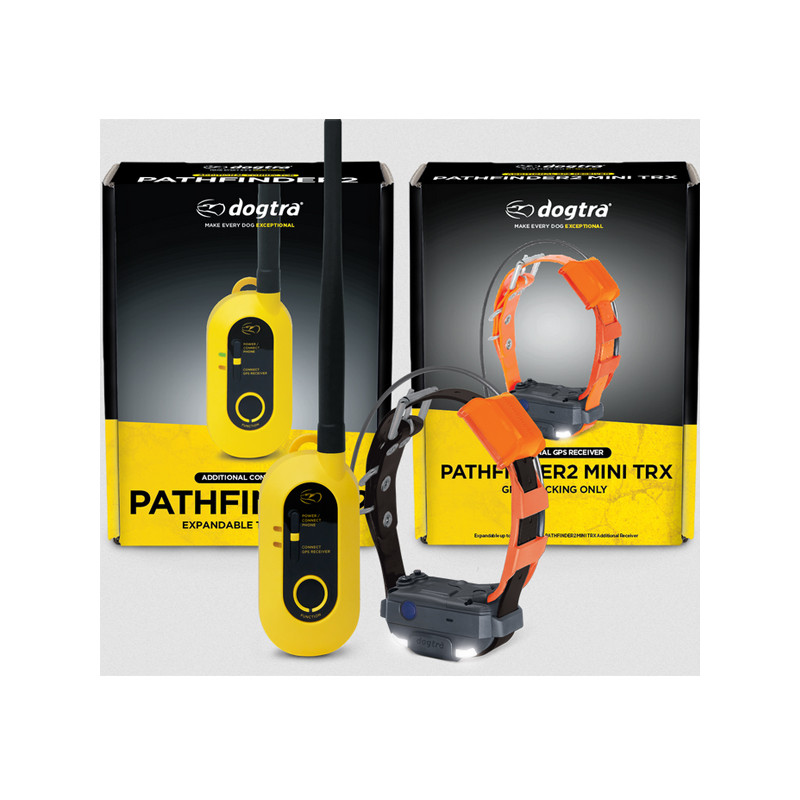 Pack de repérage Pathfinder 2 Mini TRX Dogtra