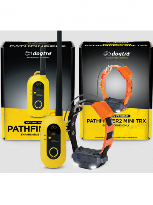 Pack de repérage Pathfinder 2 Mini TRX Dogtra