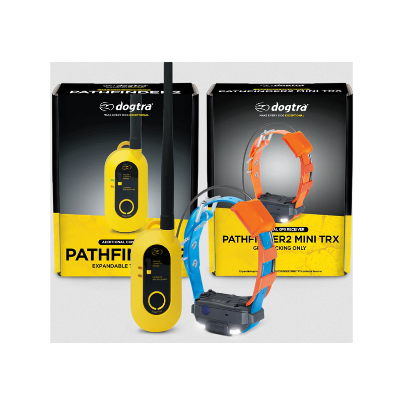 Pack de repérage Pathfinder 2 Mini TRX Dogtra