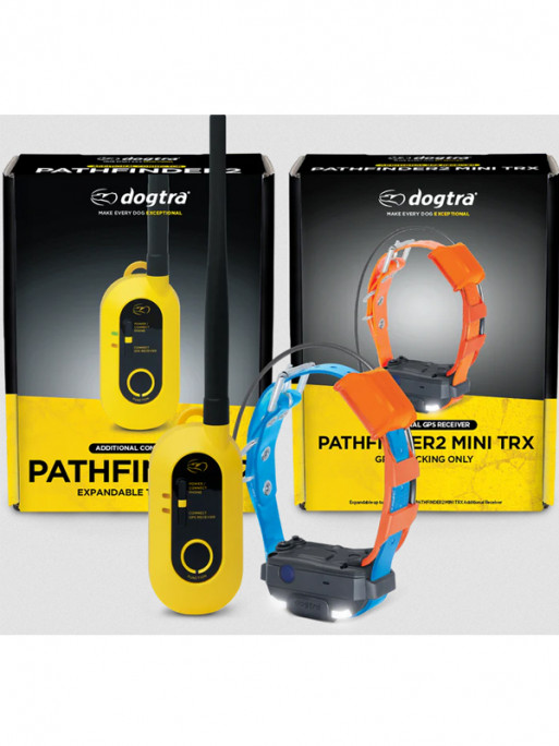 Pack de repérage Pathfinder 2 Mini TRX Dogtra