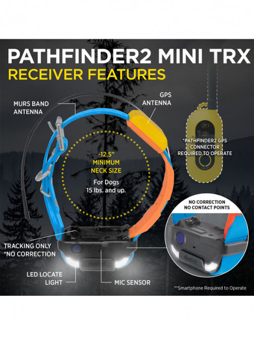 Pack de repérage Pathfinder 2 Mini TRX Dogtra