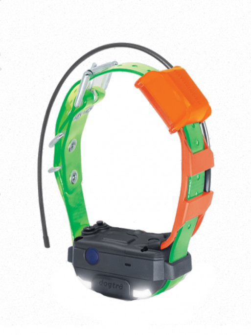Collier supplémentaire Pathfinder 2 Mini TRX Dogtra