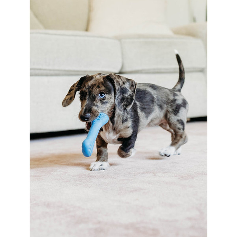 Jouets à mâcher x2 Wishbone Bacon chiot Benebone