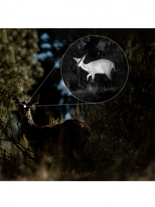 Jumelles de vision thermique Habrok 4K HE25L 2.0 HikMicro