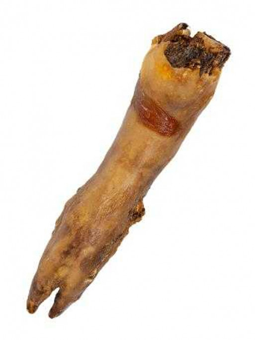 Pied de porc XL 350g Vrac