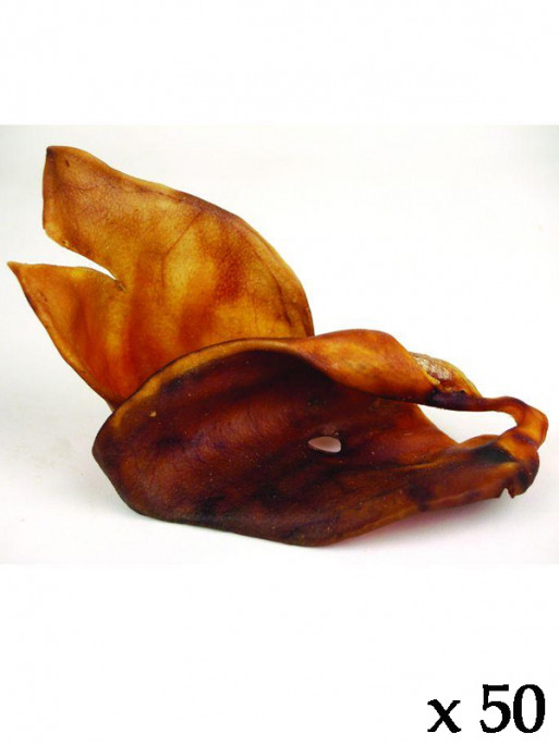 Oreille de porc (lot de 50)