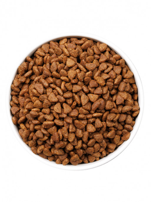 Croquettes Ultra Kitten Sterilized Chats 3kg Ownat