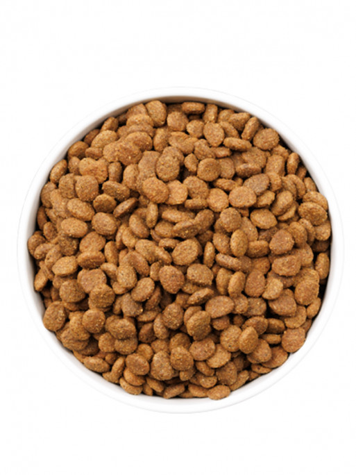 Croquettes Ultra Young Sterilized Chat 3kg Ownat