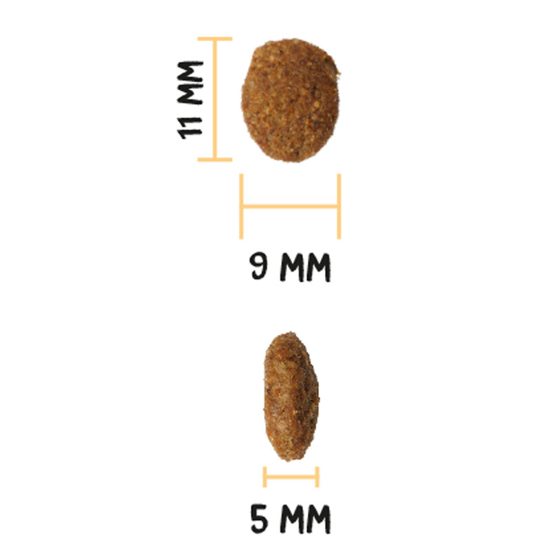 Croquettes Ultra Young Sterilized Chat 3kg Ownat