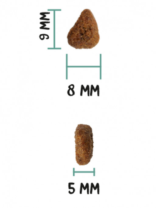 Croquettes Ultra Ageing Fish Chat 3kg Ownat