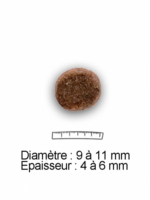 Croquettes chiot 30/19 saumon 15kg Nature Dog