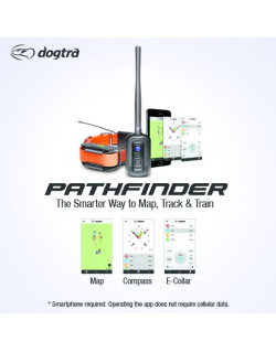 Pack Dogtra Pathfinder - repérage et dressage