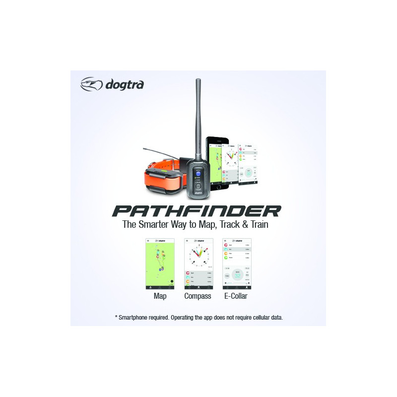 Pack Dogtra Pathfinder - repérage et dressage