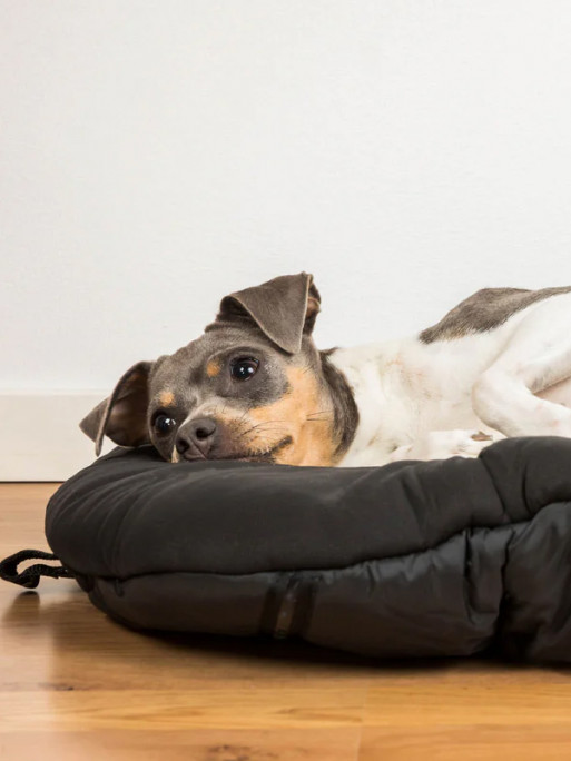 Matelas de voyage Back On Track