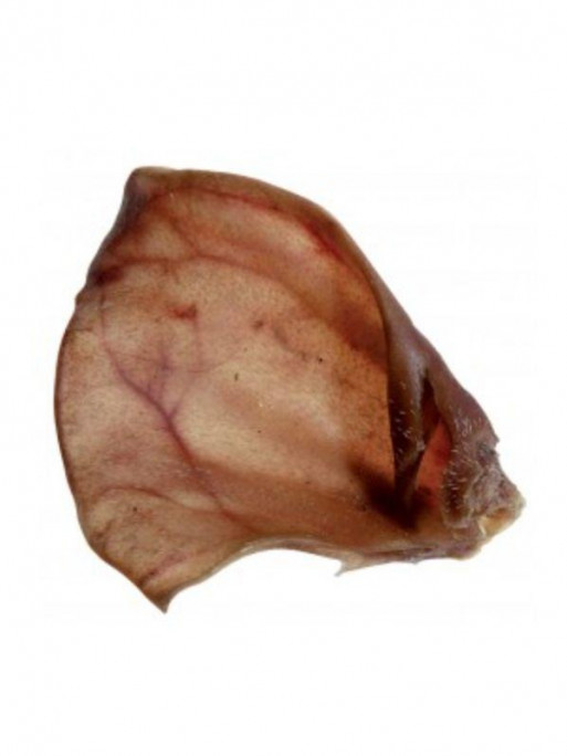 Oreille de porc qualité A vrac