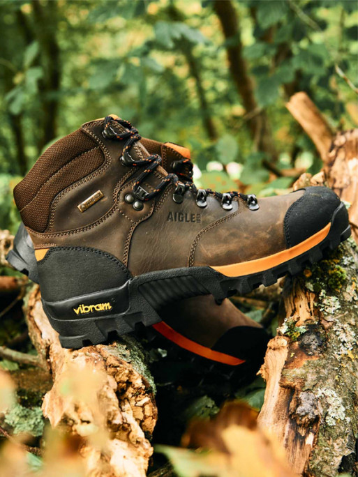 Chaussures Altavio en cuir Aigle