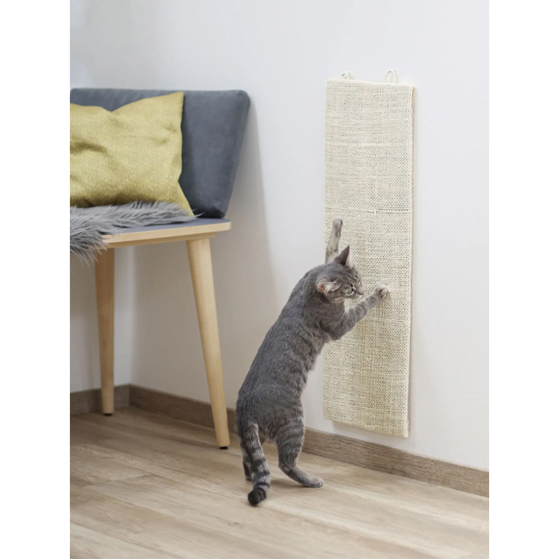 Griffoir chat Kevin Kerbl