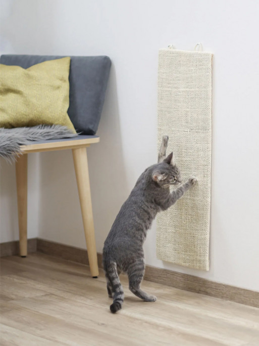 Griffoir chat Kevin Kerbl