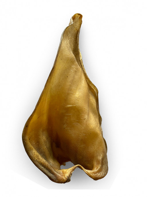 Oreille de boeuf sans viande vrac