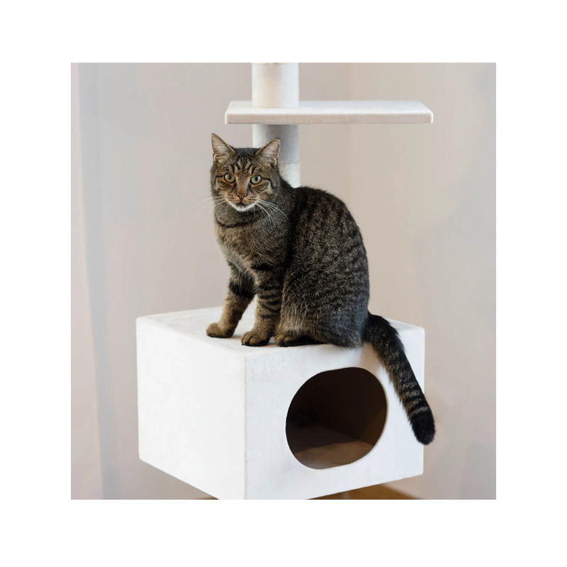 Arbre à chat Ferdi 240 à 260cm Kerbl