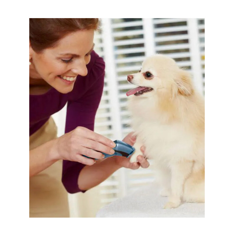 Mini-tondeuse sur batterie Oster