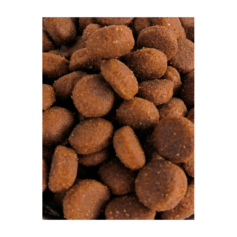 Croquettes Performance 26/16 Agneau Nature Dog 15kg