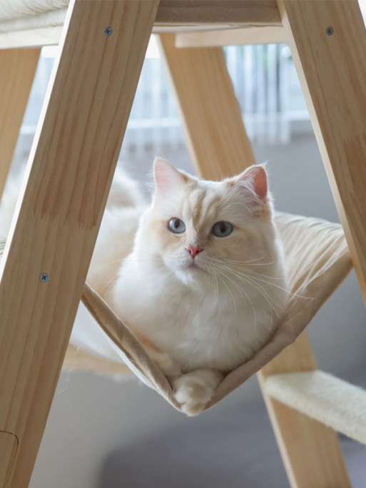 Arbre à chat Ladder 1m34 Kerbl