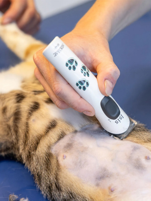 Tondeuse Isis Aesculap